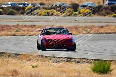 media/Nov-16-2024-Extreme Speed (Sat) [[6587d07cc4]]/Red Group/Session 2 (Turns 3 and 5)/